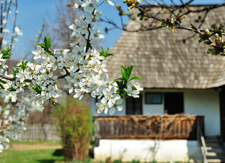 Echinocţiu: Primăvara astronomică începe azi la ora 23.24